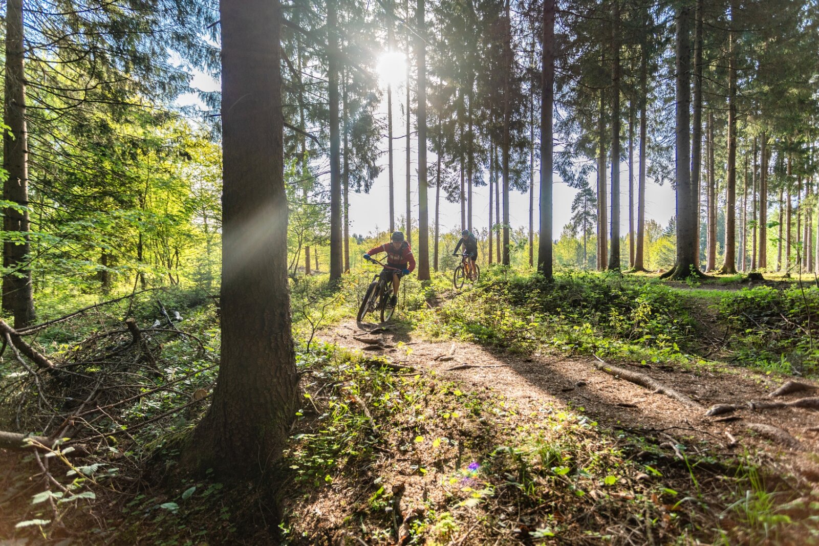 Mountainbikes