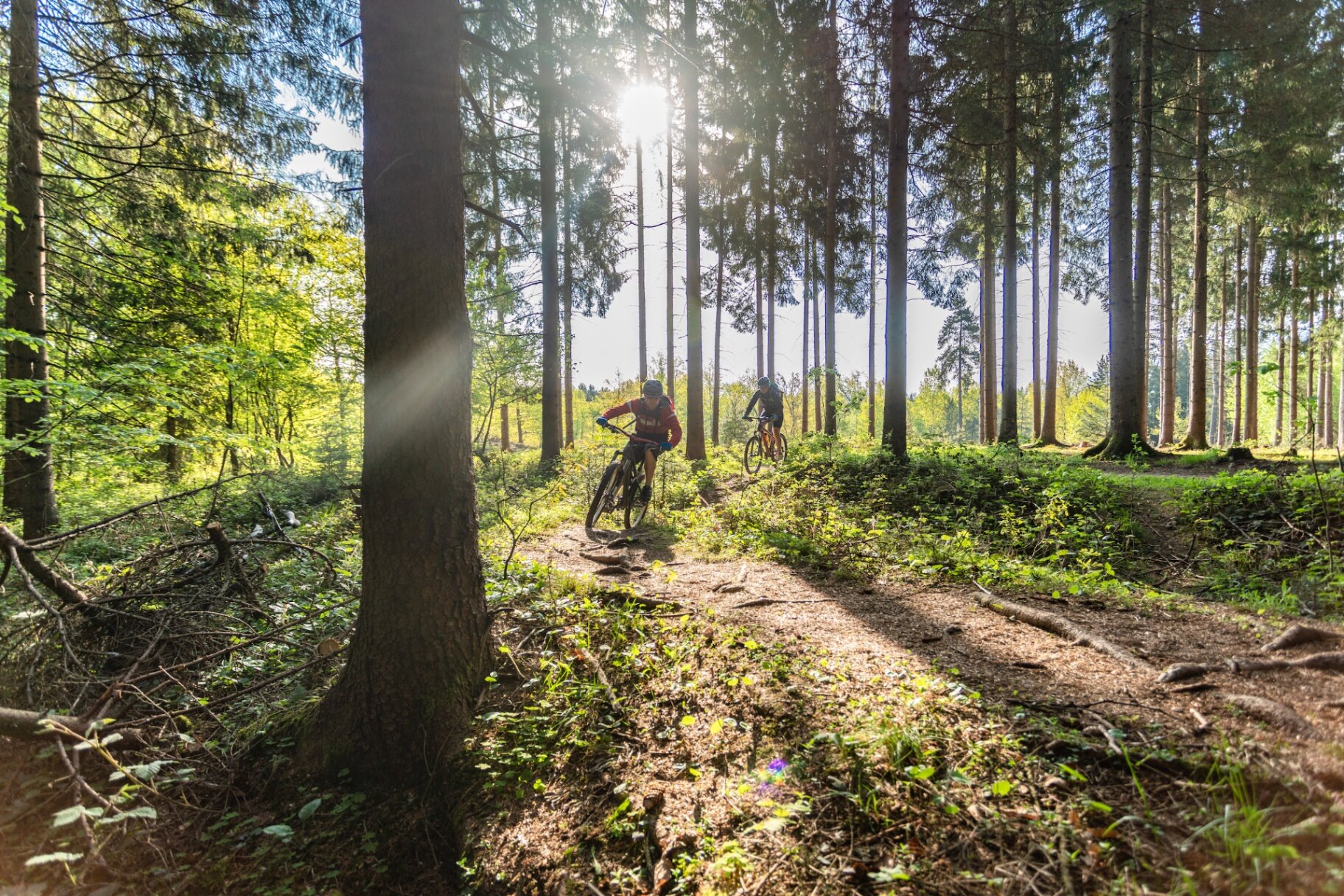 Urlauber mit E-Bikes am Ossiacher See in Kärnten